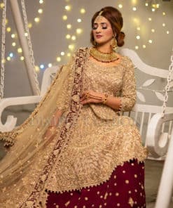 Lehenga Choli Womens wear