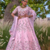 Pink Lehenga Choli